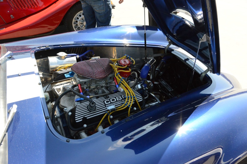 Cobra Engine.JPG